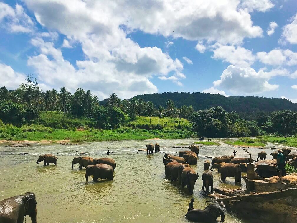 De mooiste plekken in Sri Lanka